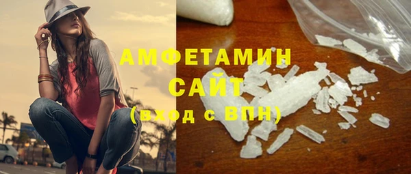 индика Осинники