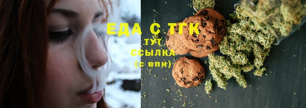 индика Осинники