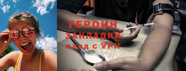 индика Осинники