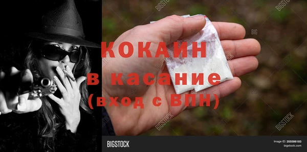 индика Осинники