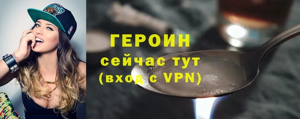 индика Осинники