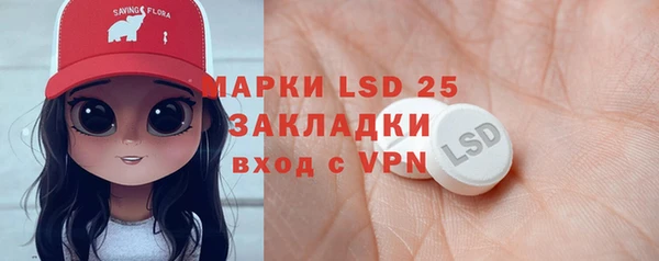 индика Осинники