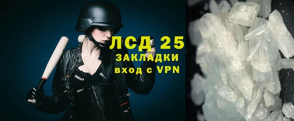 индика Осинники