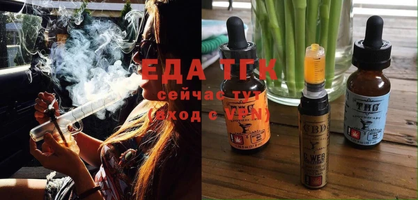 индика Осинники