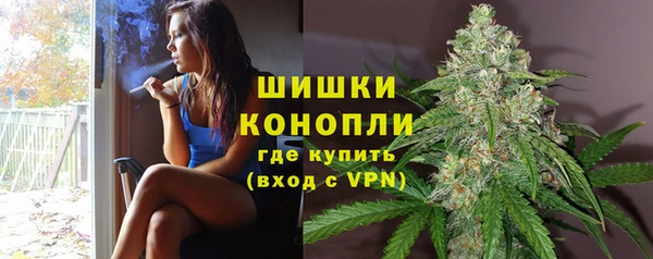 индика Осинники