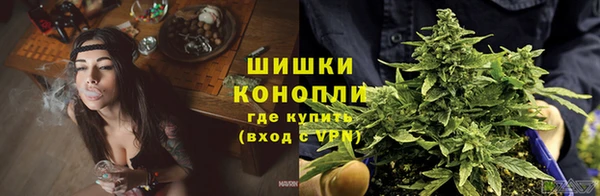 индика Осинники