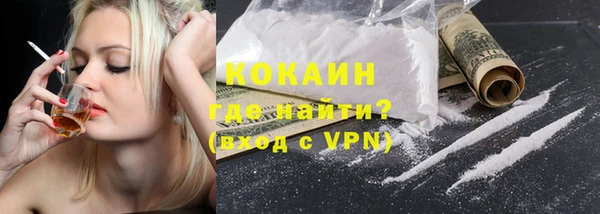 индика Осинники