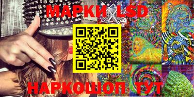 индика Гусь-Хрустальный