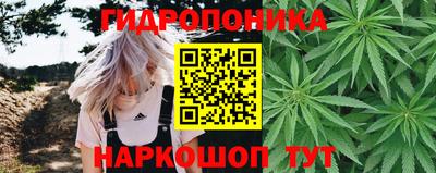 индика Гусь-Хрустальный