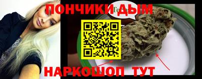 индика Гусь-Хрустальный