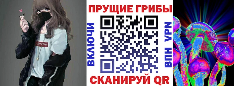 omg tor  Златоуст  Галлюциногенные грибы мухоморы 